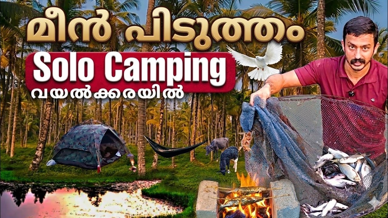SOLO OVERNIGHT CAMPING AT WETLAND | പുഞ്ചക്കരയിൽ ഒരു രാത്രി മലയാളം ക്യാമ്പിങ് 