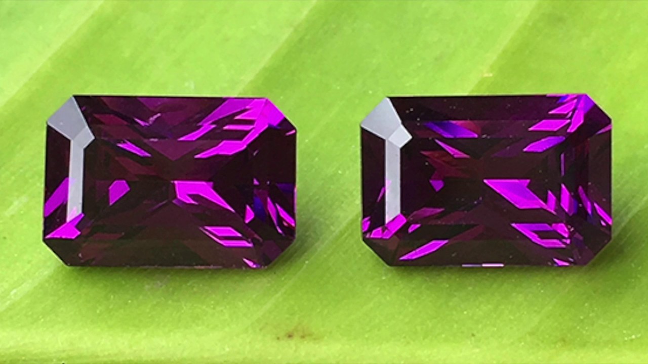 Grape Garnet Education