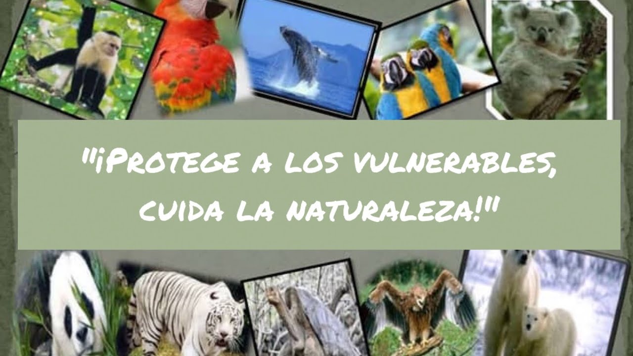 Animales Vulnerables - Tlaxcala
