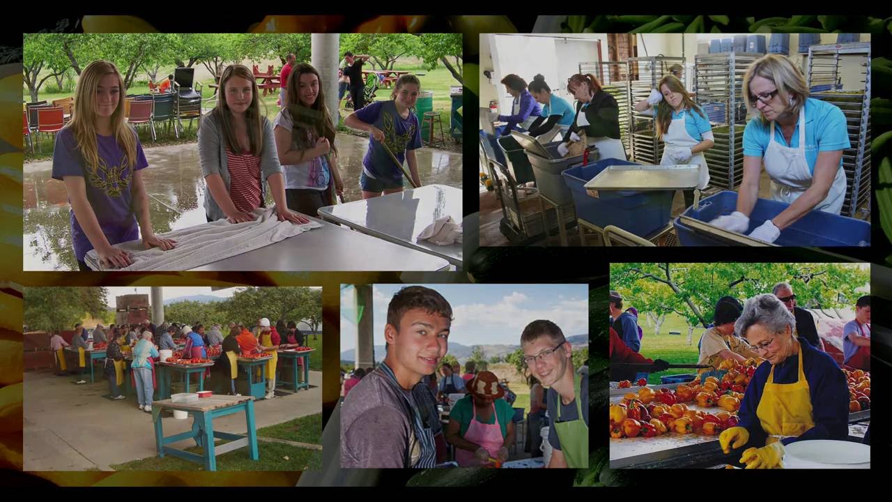 Anabaptist Stories - I was hungry and you fed me - Gleaners
