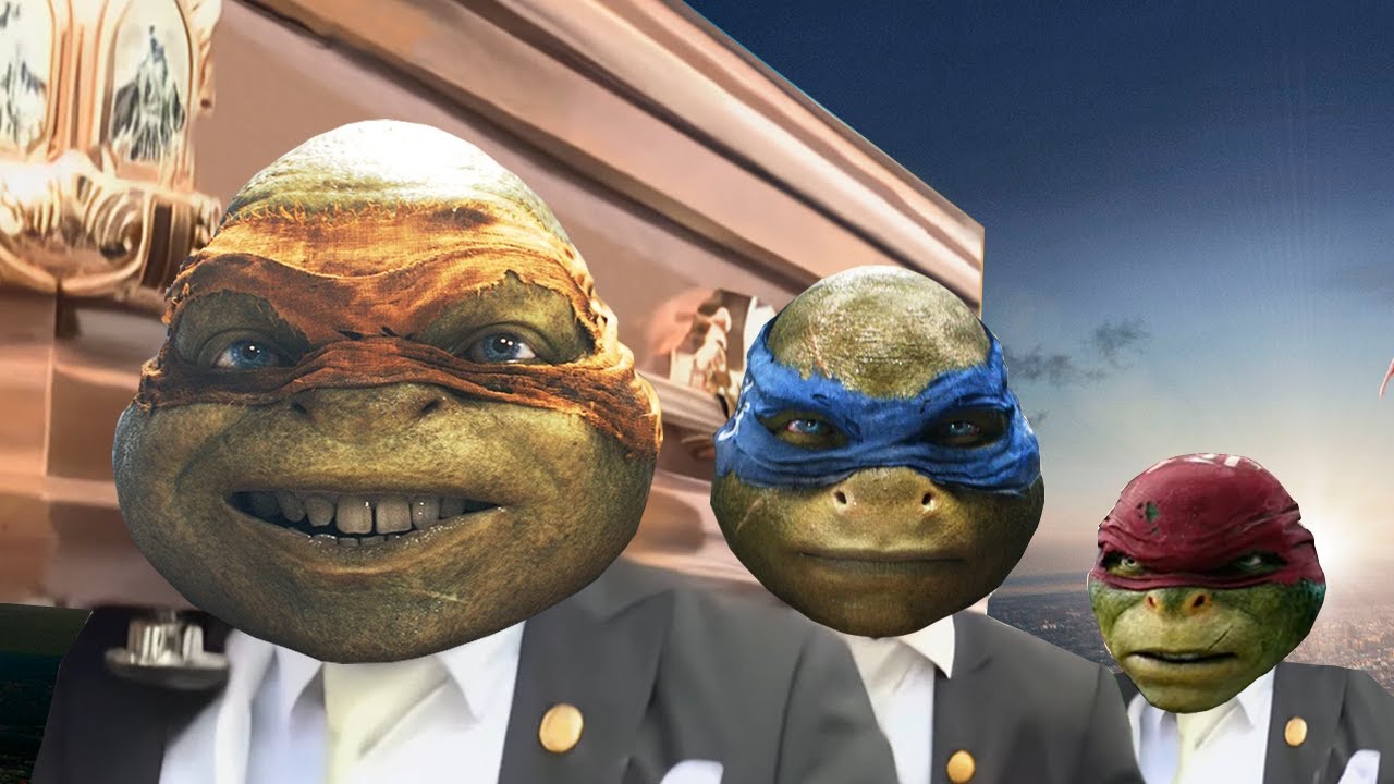 Teenage Mutant Ninja Turtles - Coffin Dance Song (COVER)