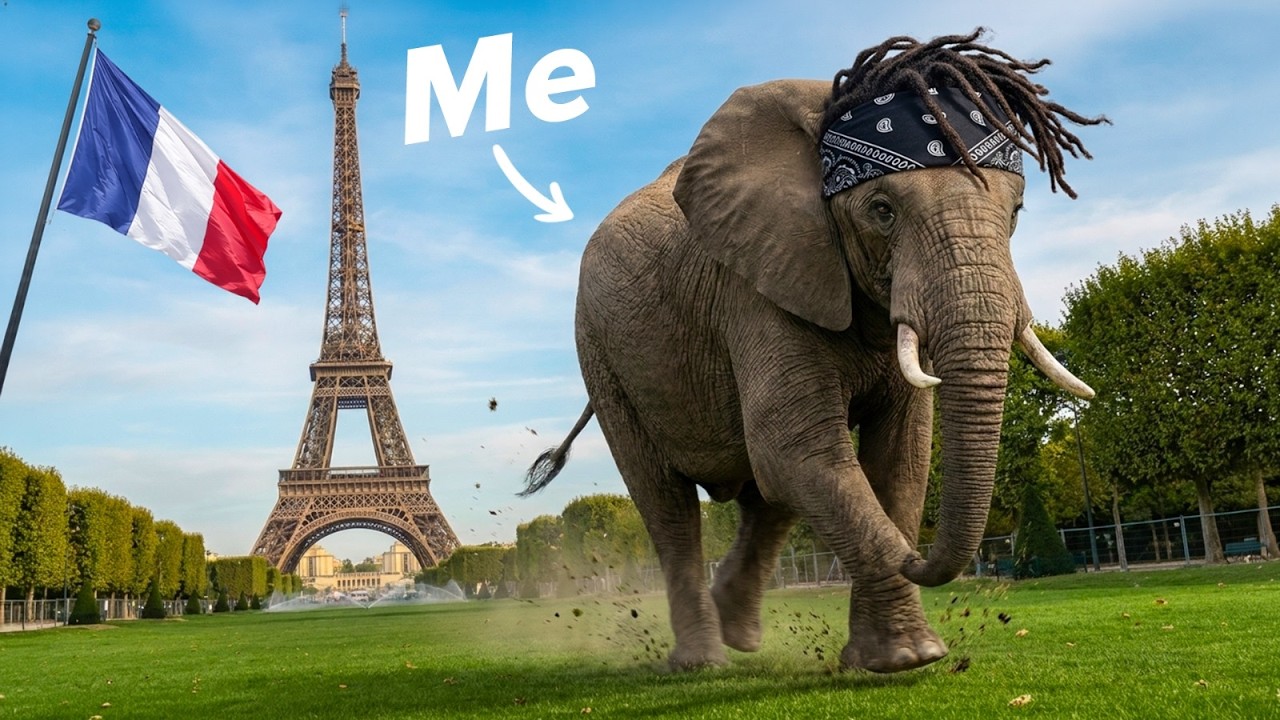 The Elephant in France!