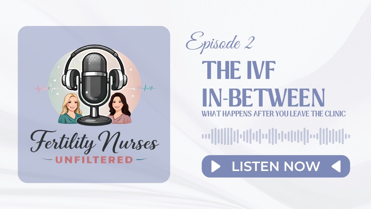 The IVF In-Between: What Happens After You Leave the Clinic
