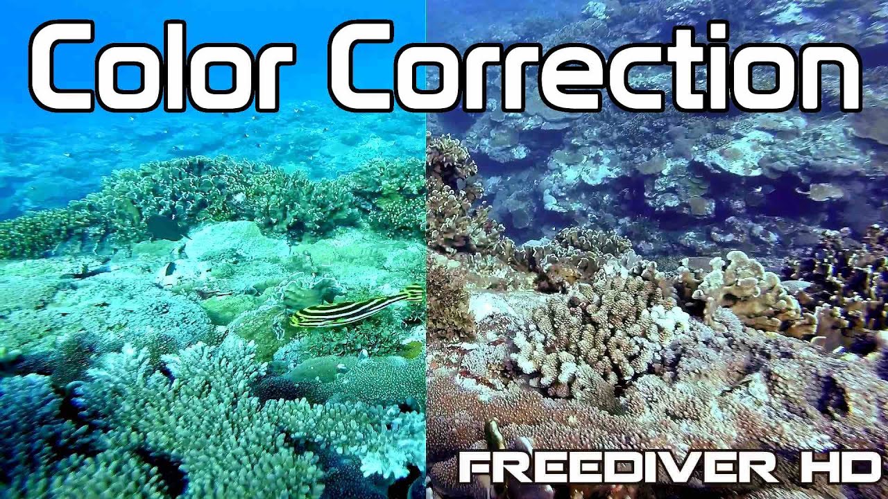 Underwater Color Correction in Sony Vegas | GoPro Protune