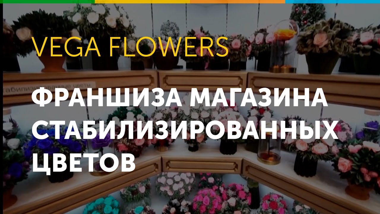 Франшиза Vega Flowers