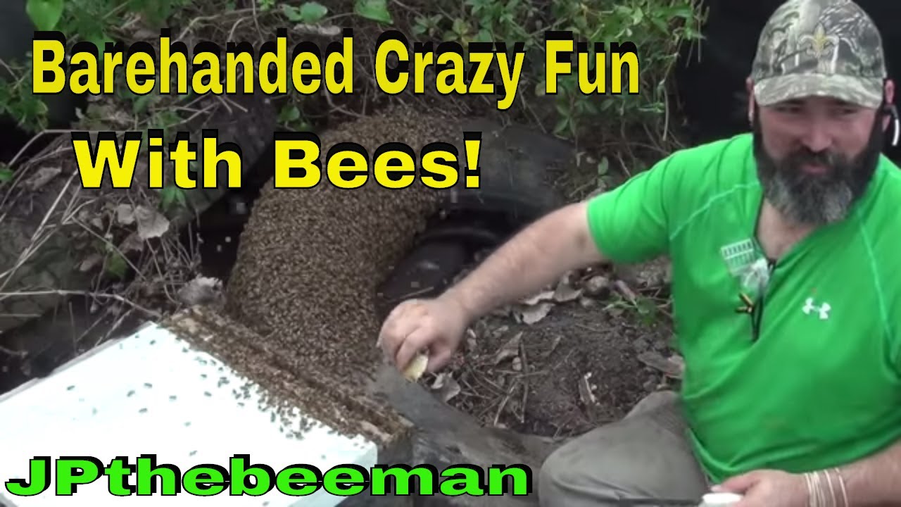 Honey Bees Removed From Truck Tire (Barehanded!)