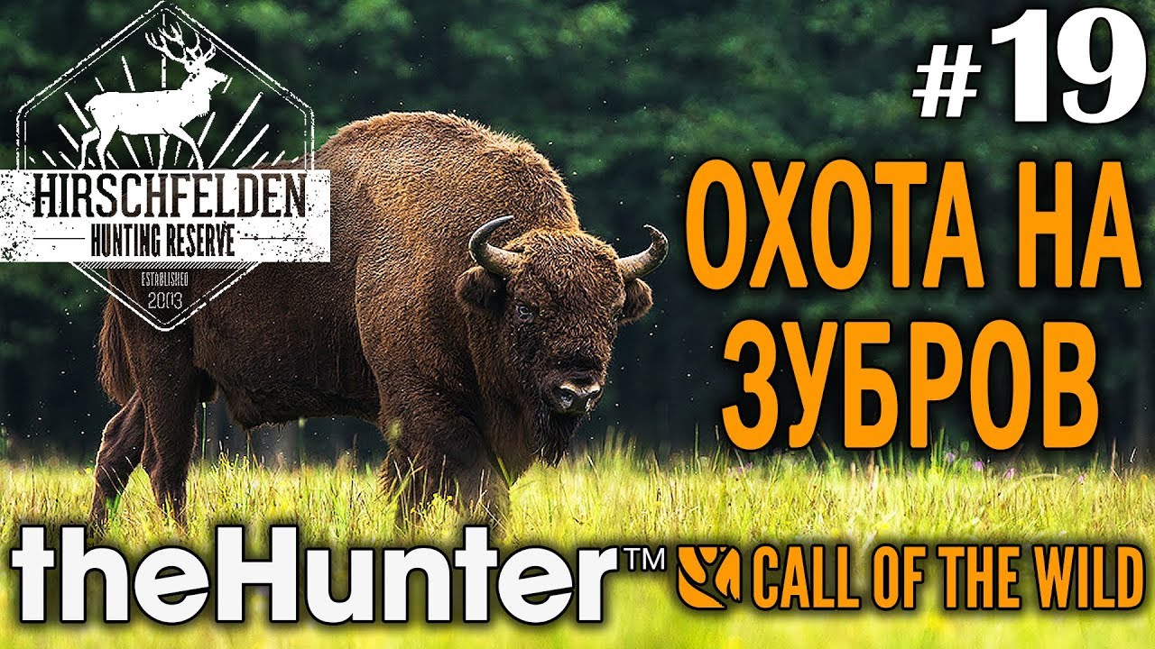 theHunter call of the wild #19 🔫 - Охота На Зубров - Винтовка, Револьвер - Зубр, Косуля