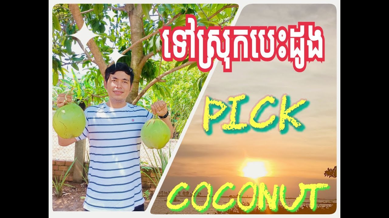 Travel to Kampong Thom Province in Cambodia, vlog @rathars #vlog #travel