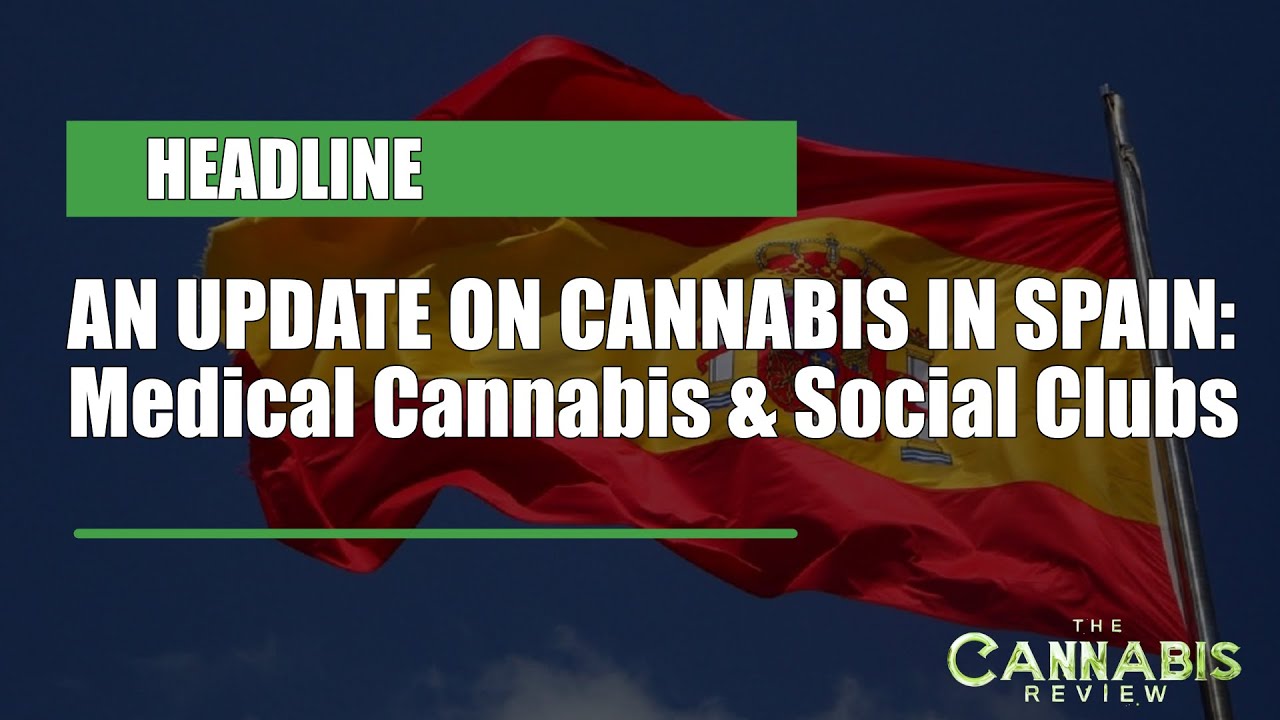 AN UPDATE ON CANNABIS IN SPAIN | Arnau Valdovinos (Principal Consultant, Cannamonitor)