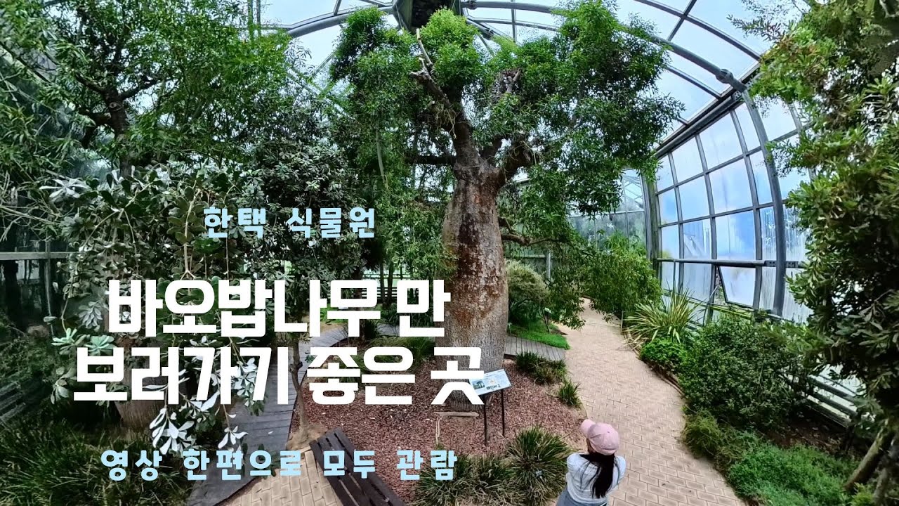 4대 사설수목원인 한택식물원에서 30분 동안 불평하는 영상