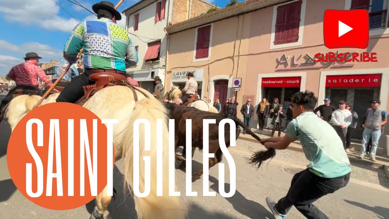 Manche 1️⃣ du concours d’Abrivado ￼➡️ saint-Gilles 🇫🇷 16/03/2025 Manades CONTI, BRIAUX & AUBANEL 🚨￼