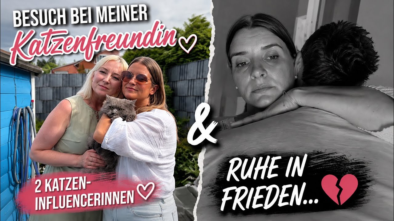 Endlich wieder bei Tatjana 🐱 + etwas, das uns sehr getroffen hat 😔