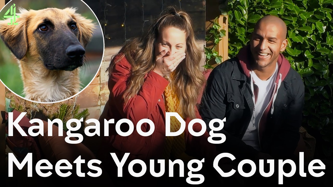 Kangaroo Dog Meets Young Couple | The Dog House 🐶 | Dog Stories