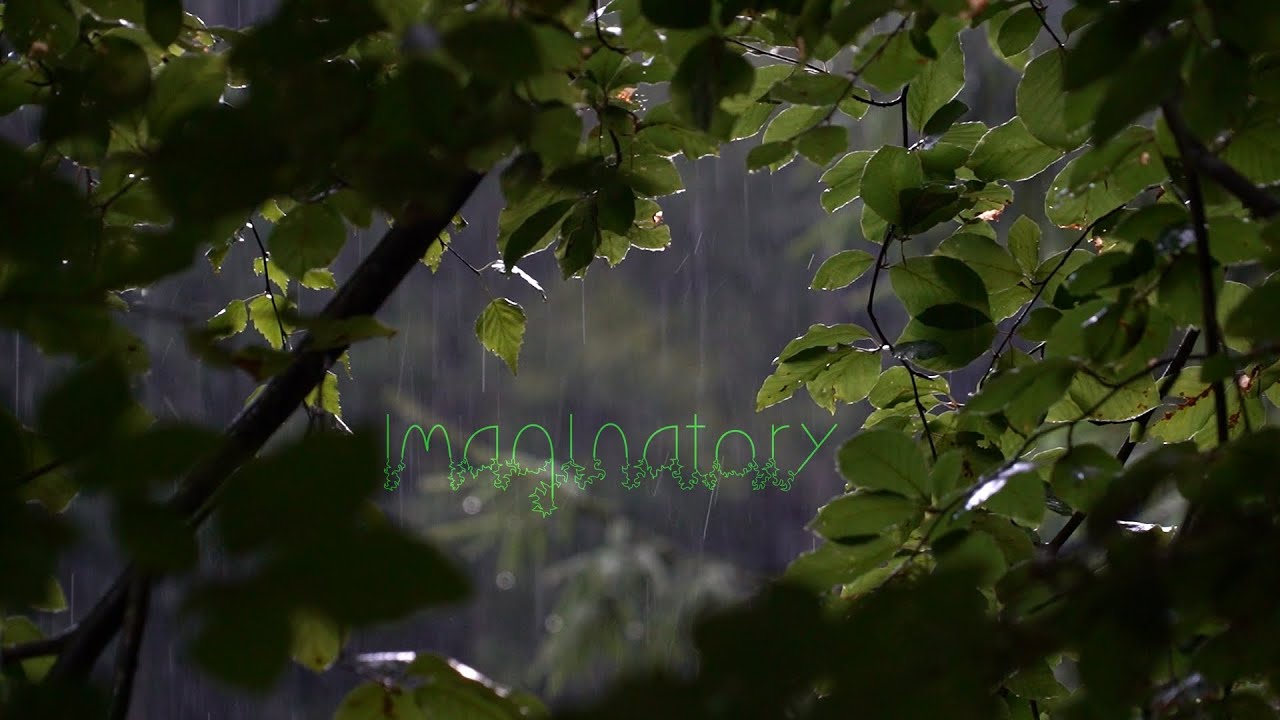 Thunder comes prowling. 5 Minute Nature Meditation: Imaginatory