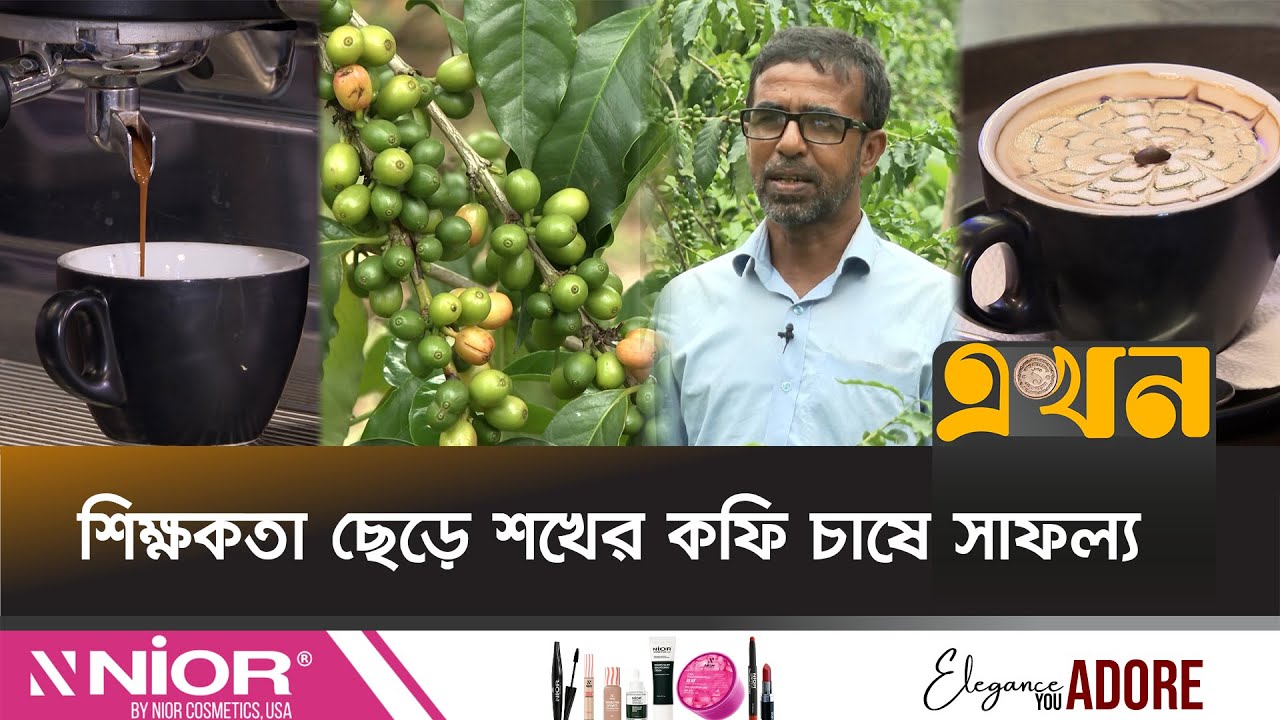 চাহিদার সাথে দিন দিন বাড়ছে বাণিজ্যিক কফি চাষ | Mymensingh Coffee | Coffee Production | Ekhon TV