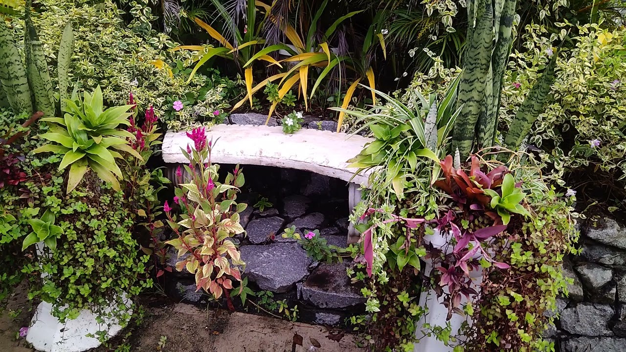 🌿 Beautiful Garden Tour🌱Weekly videos.