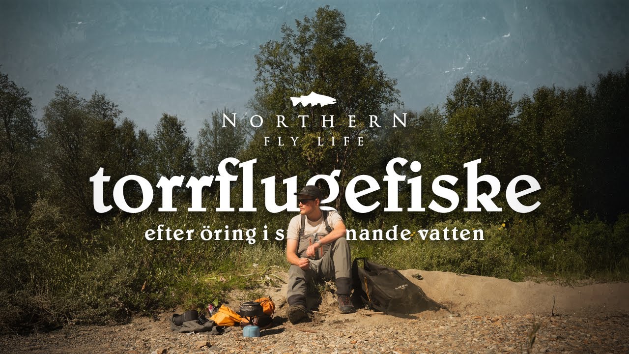 Torrflugefiske efter öring i strömmande vatten