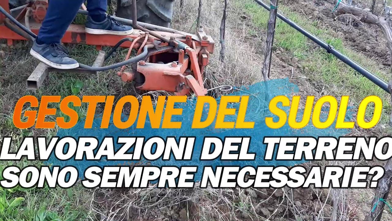 GESTIONE DEL SUOLO: Perchè lavorare il terreno in un nuovo impianto.