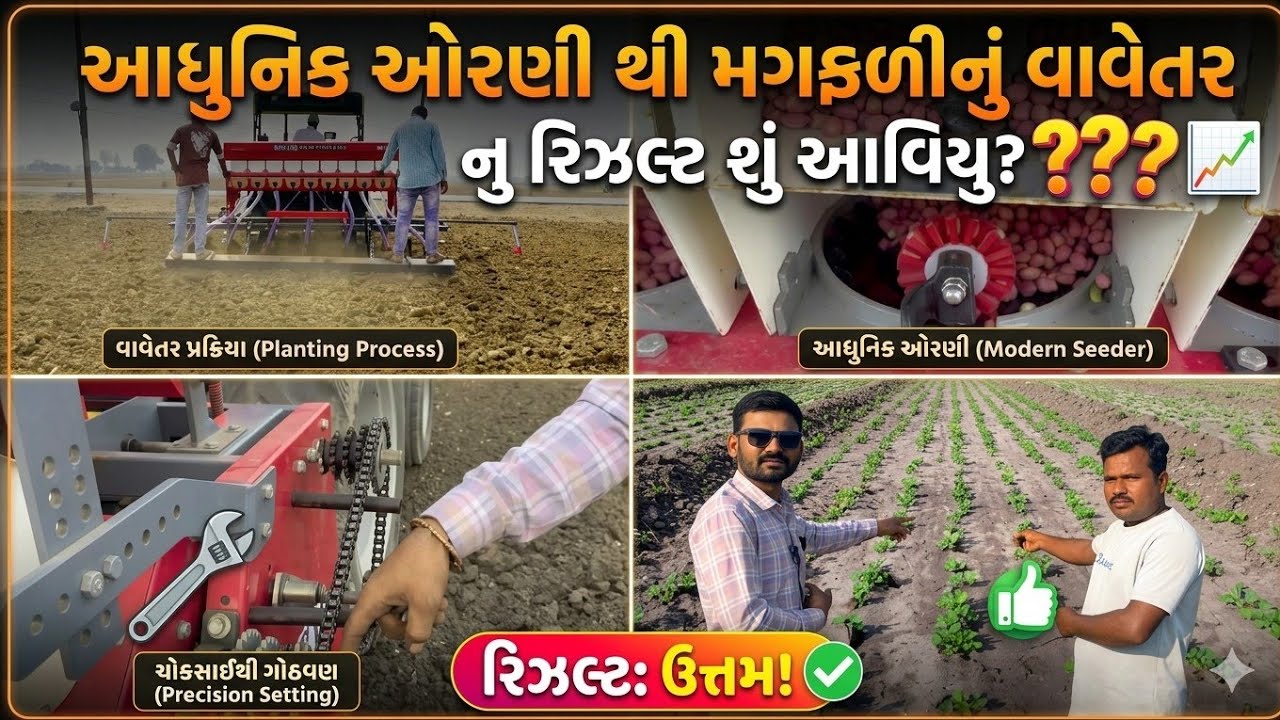 ટ્રેક્ટરની પ્રિમયમ મોડલ ઓરણી થી મગફળીનું વાવેતર નુ રિઝલ્ટ| automatic seeds drill (@khedutmitra6210)