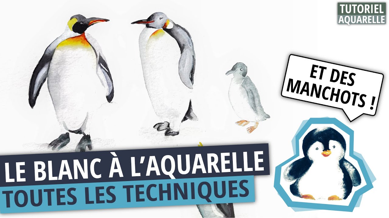 Tuto AQUARELLE le BLANC : les 4 techniques de base 🐧🐧🐧🐧