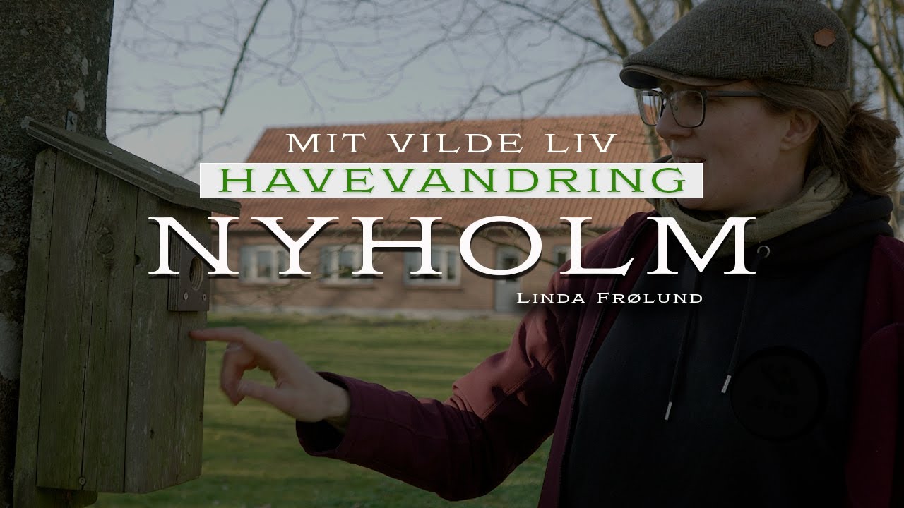 Fra flyvesand til skovbund - Havevandring p&aring; Nyholm