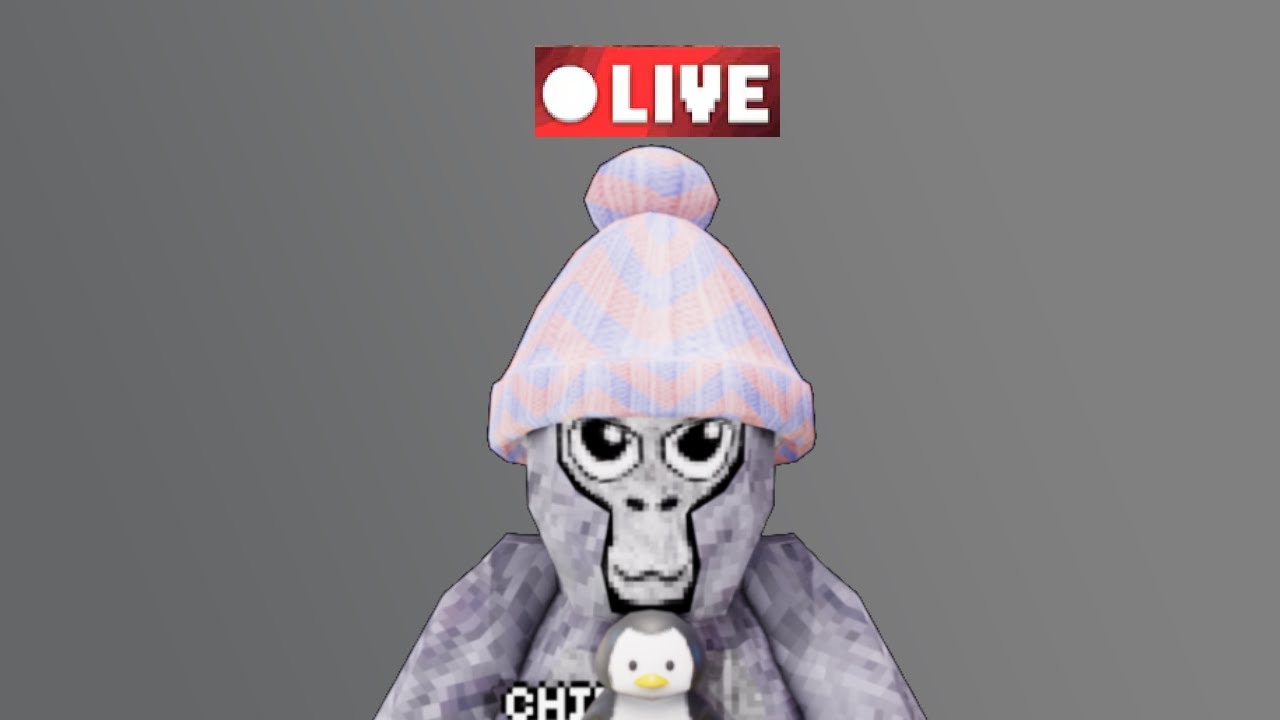 Gorilla tag live whit fans