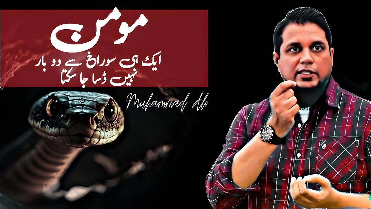 A Believer Cannot Be Stung Twice From The Same Hole || Life changing bayan By Muhammad Ali