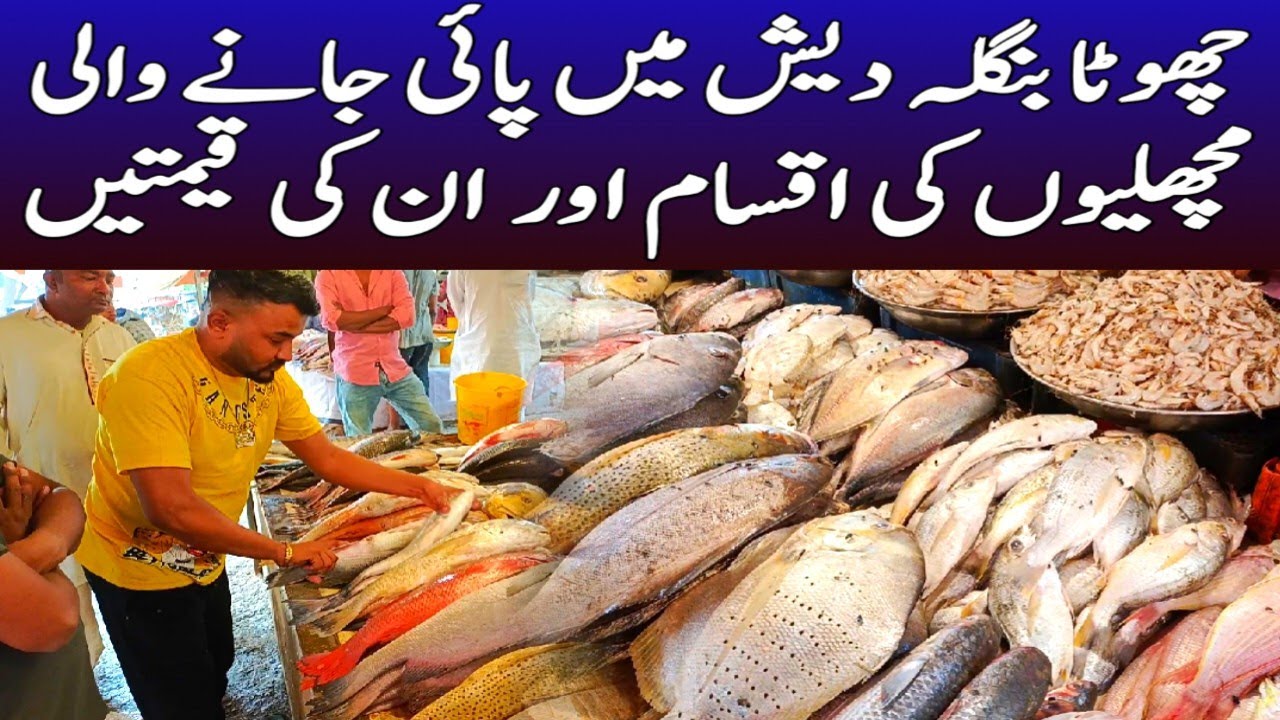 Karachi Fish Market Rates 2023 Bufferzone Wholesale Fish Cheapest Rate in Karachi @focus with fahim