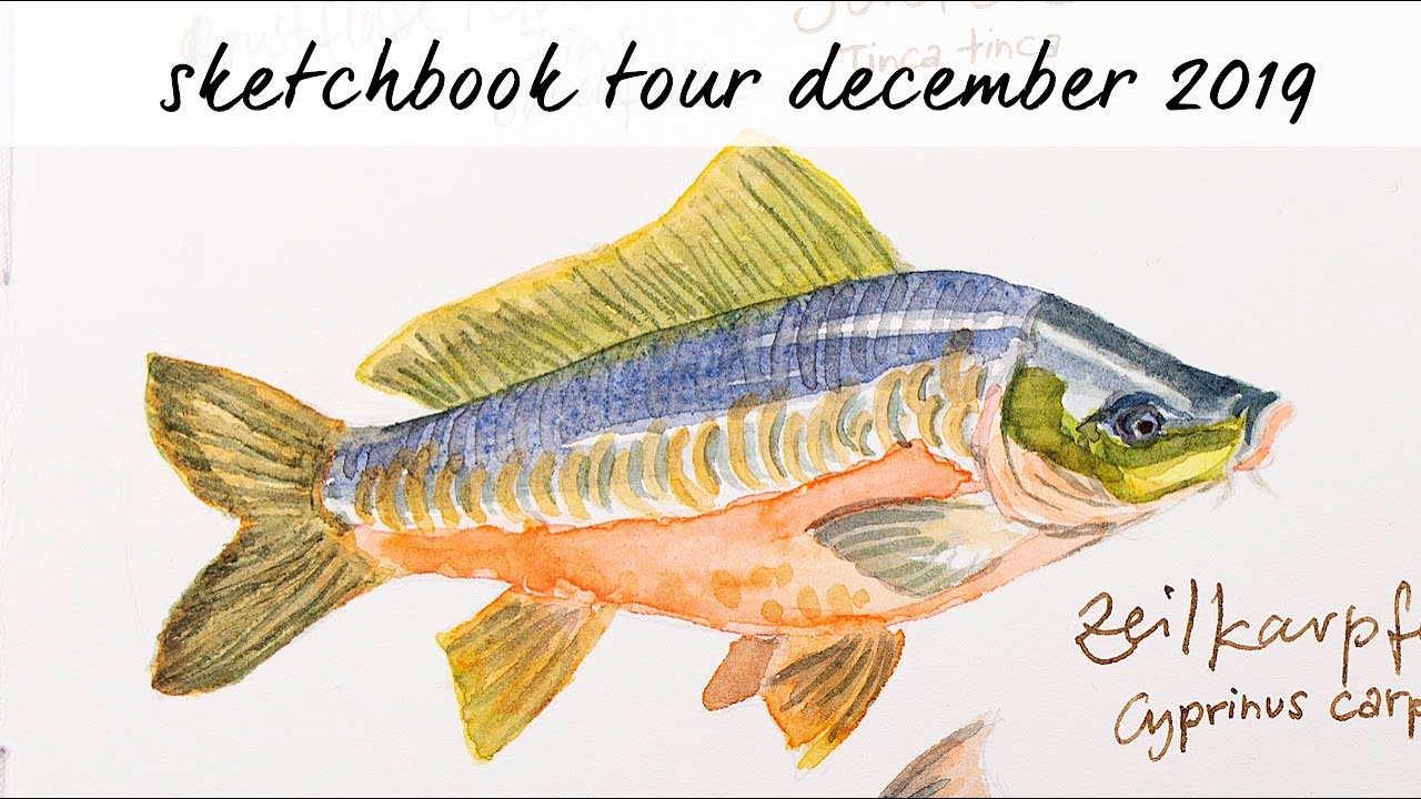 Sketchbook Tour December 2019