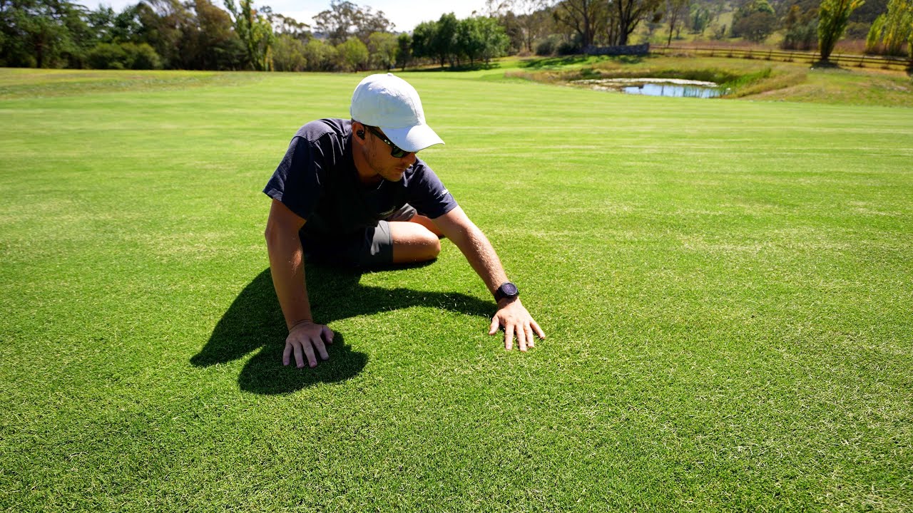 A Day on my Backyard Golf Course