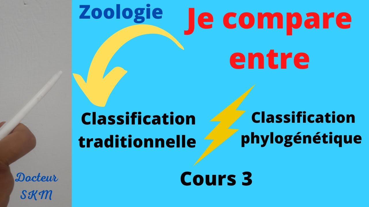 Types de classifications- classification traditionnelle VS classification phylogénétique-Cours 3-