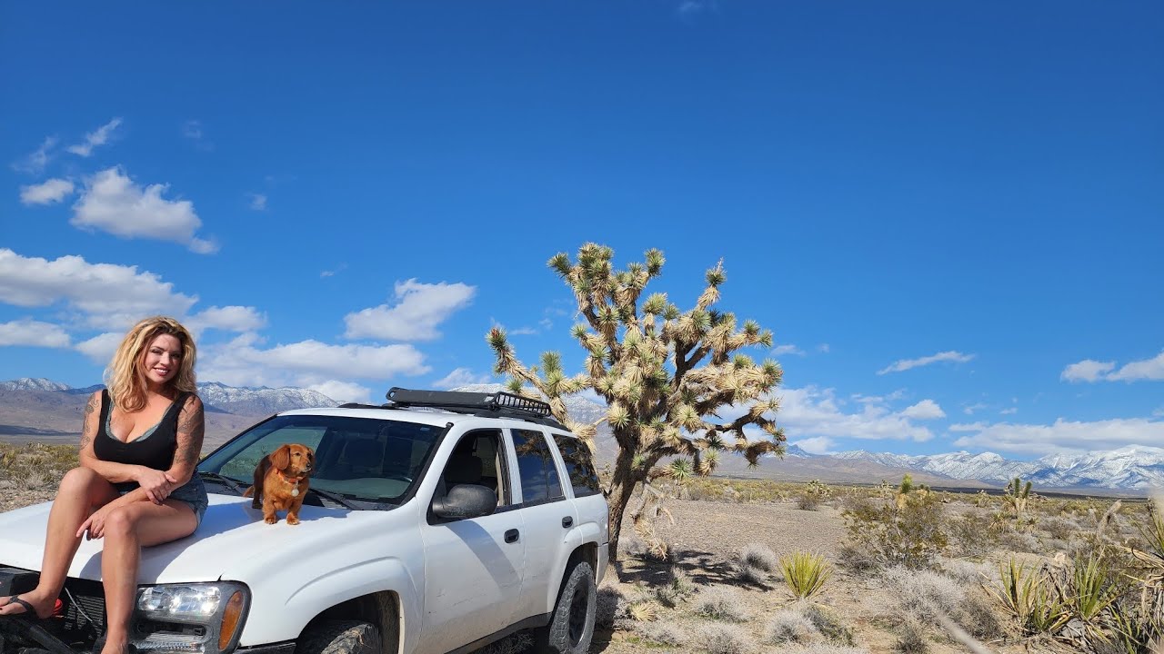 Living In My Trailblazer In The Nevada Desert