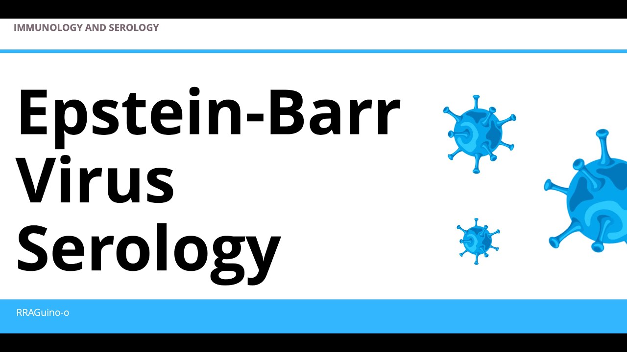 Epstein-Barr Virus Serology | Heterophile Antibodies