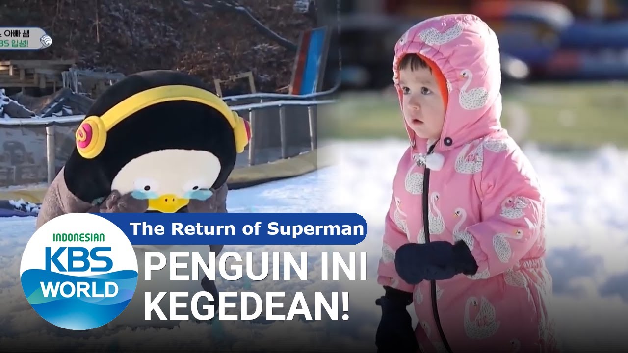 Penguin Ini Kegedean! [The Return of Superman/19-01-2020][SUB INDO]