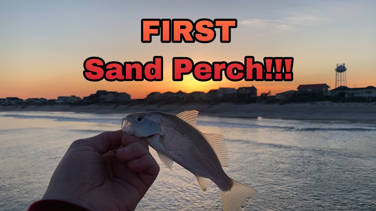 Catching My FIRST Sand Perch! | OWC