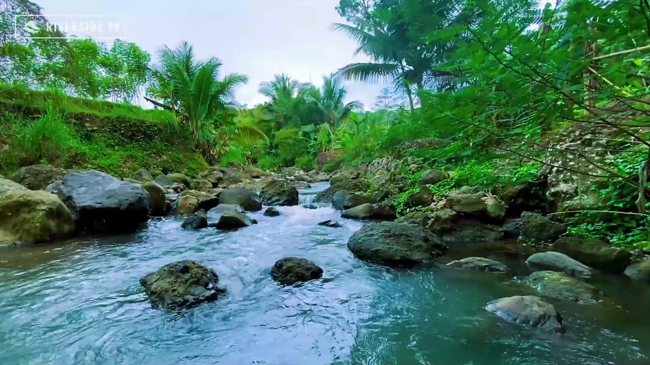 River Sounds for Sleeping Naturally with Clean River Water Flow for Total Calm