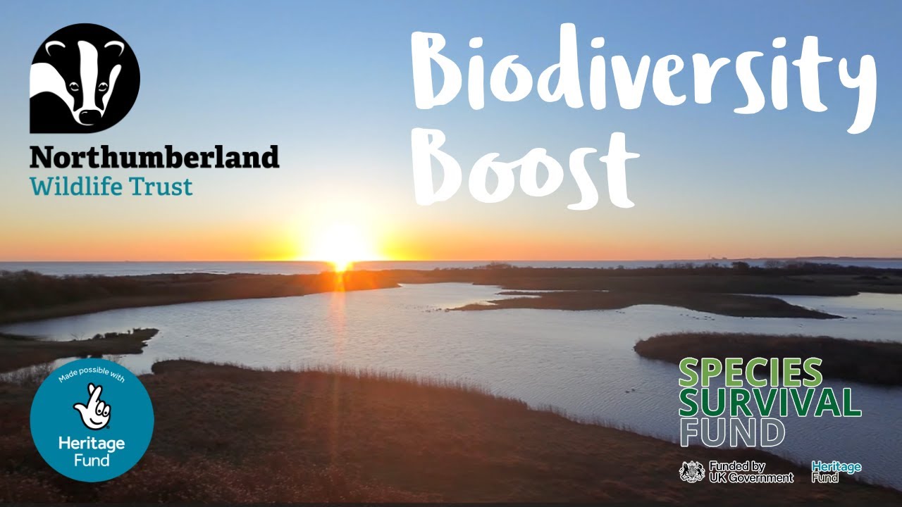 An introduction to our Biodiversity Boost project