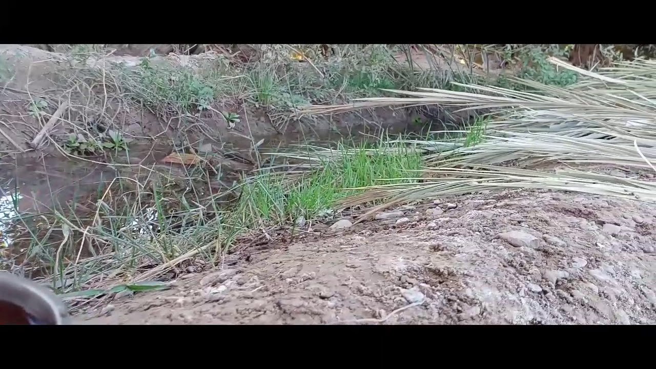 Har chez hama wada  panjgur Balochistan