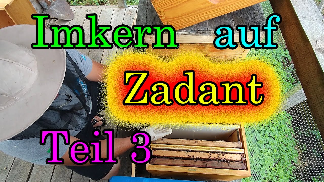 Imkern mit Zadant Teil 3