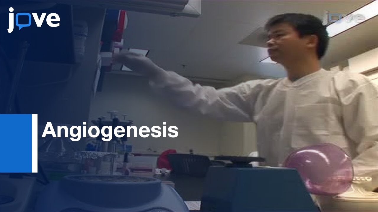Angiogenesis Study by Cornea Pocket Assay | Protocol Preview