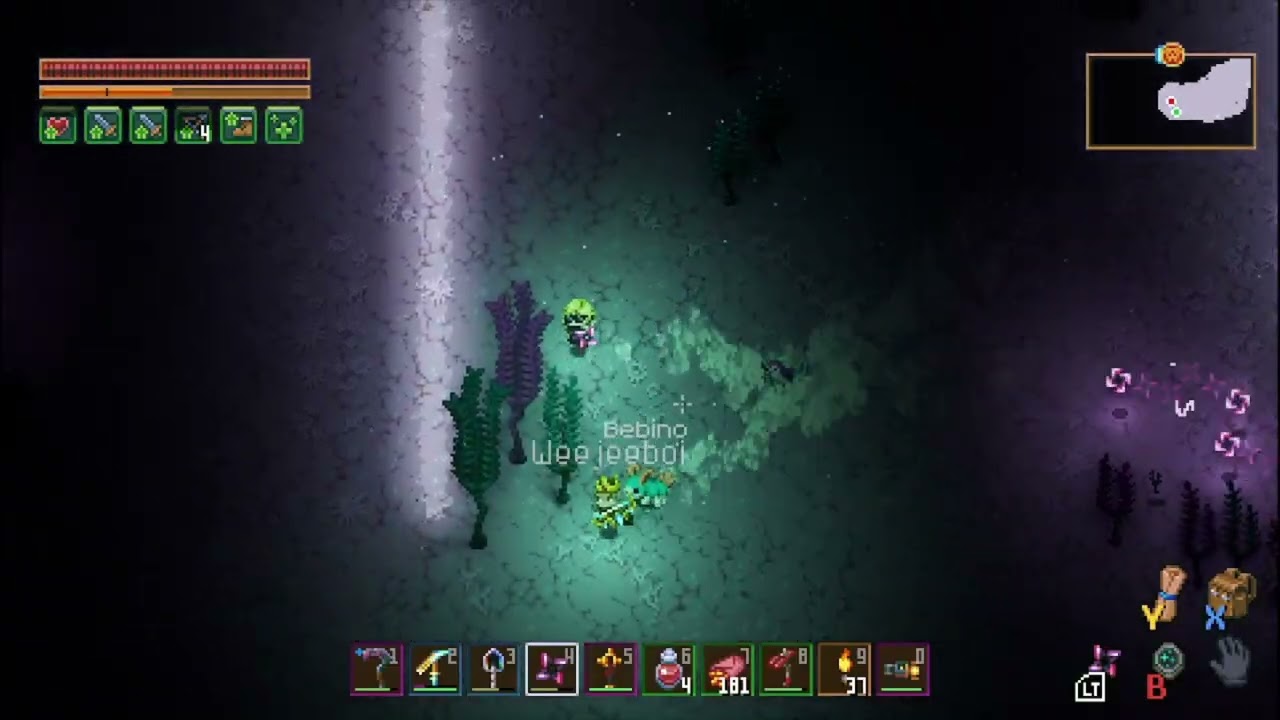 Entering the FINAL BIOME!
