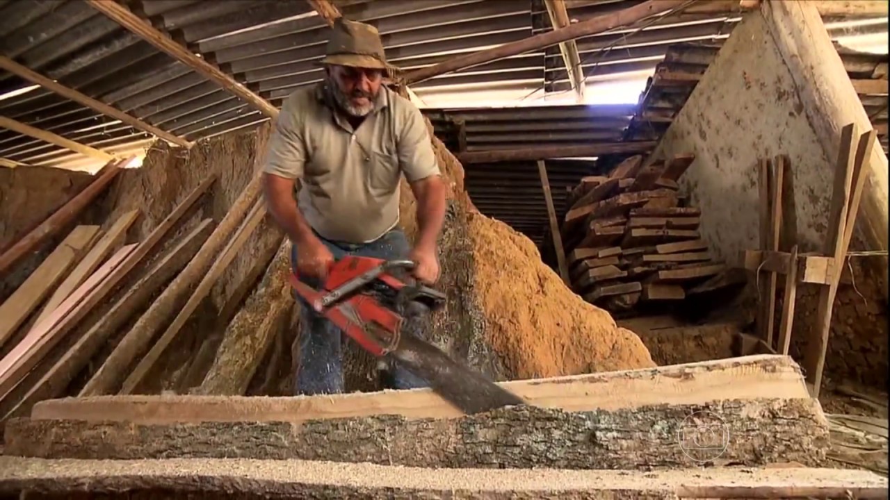 Globo Rural - Parte 2 - Conheça o uso do ipê na marcenaria e na medicina tradicional