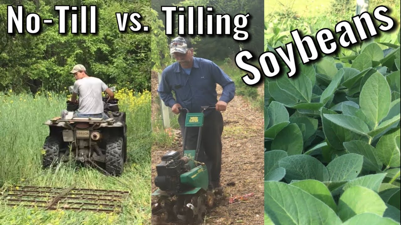 No-Till vs Tilling Soybean Food Plots - Extremely Different ways to Plant a Food Plot
