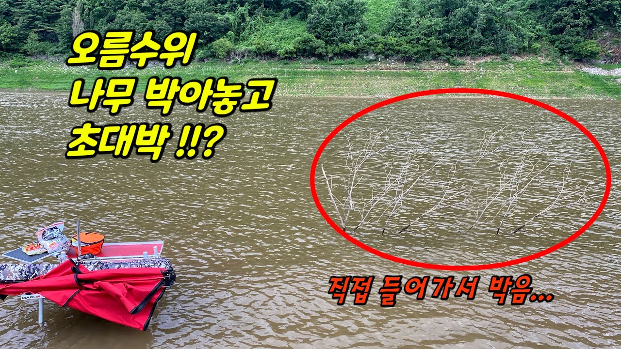 Is fishing like this possible? Put one tree on the rising water level and it’s super awesome!???