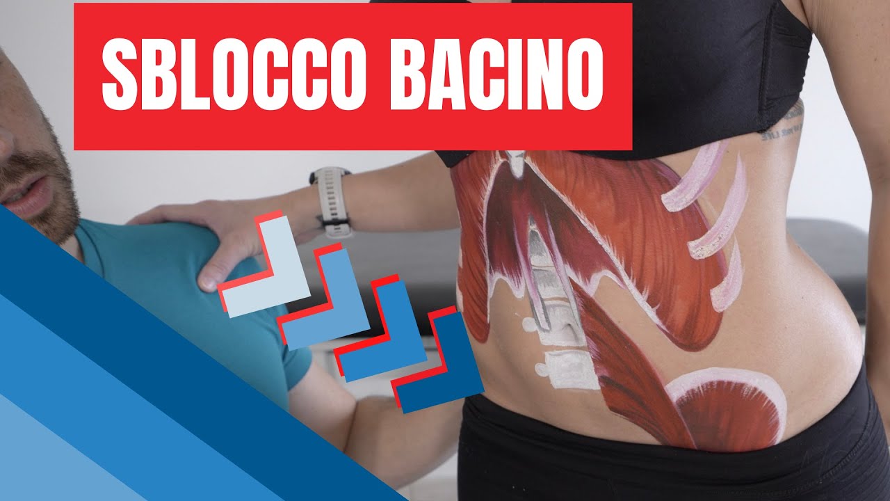Esercizi per PAVIMENTO PELVICO, POSTURA e muscoli del BACINO (utili per dolore pelvico cronico)