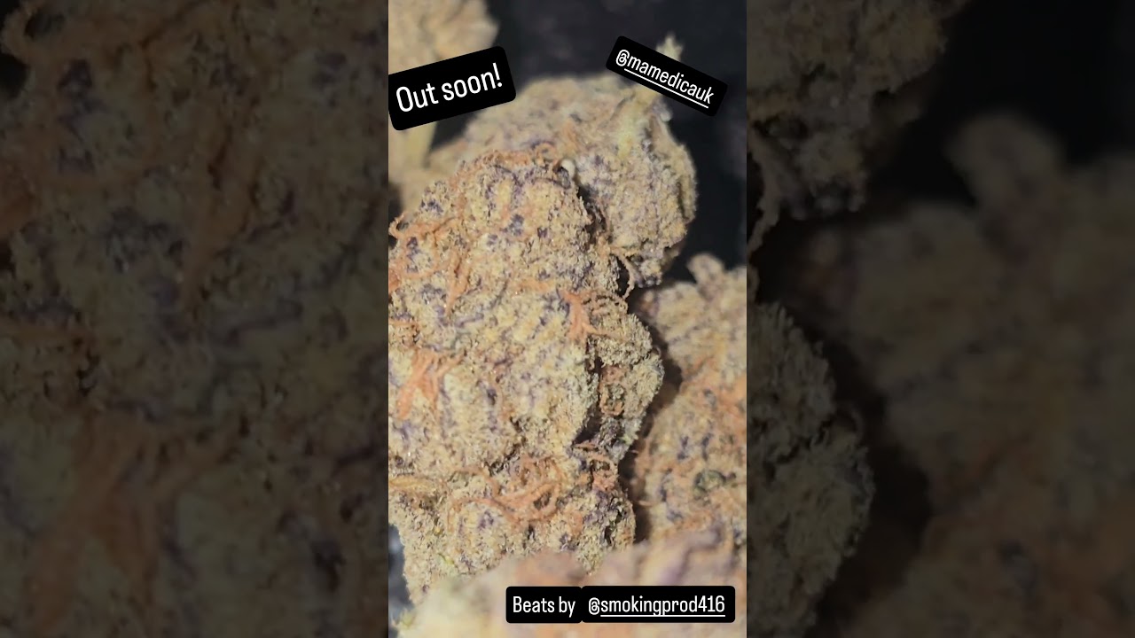 UK Legal Medical &ndash; @mamedicauk  &ndash;London Jealousy  #strainreviews #ukcannabis #uk