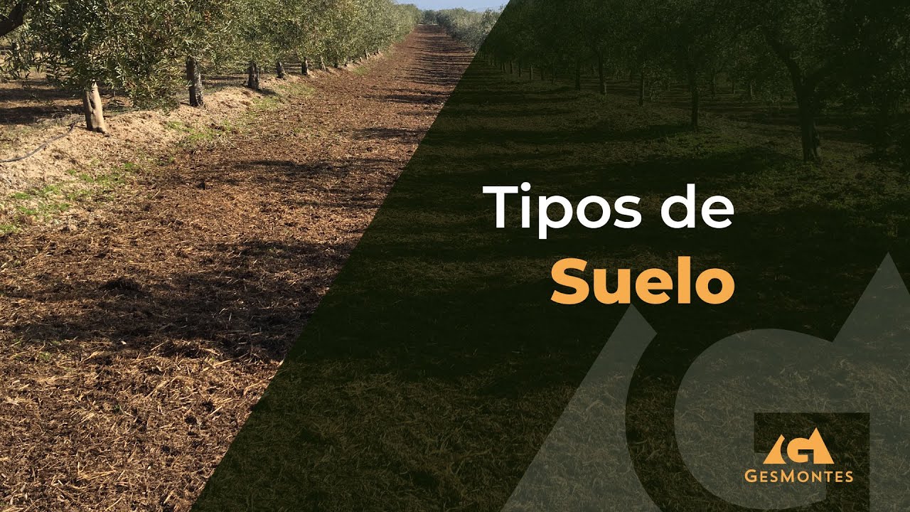 Tipos de Suelo