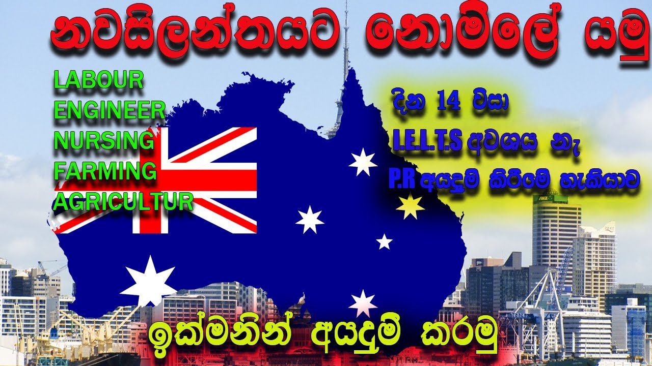 නවසීලන්තයට නොමිලේ යමු | දවස් 14 න් වීසා | I.E.L.T.S.ඕනේම නැ  |  New Zealand job |New Zealand