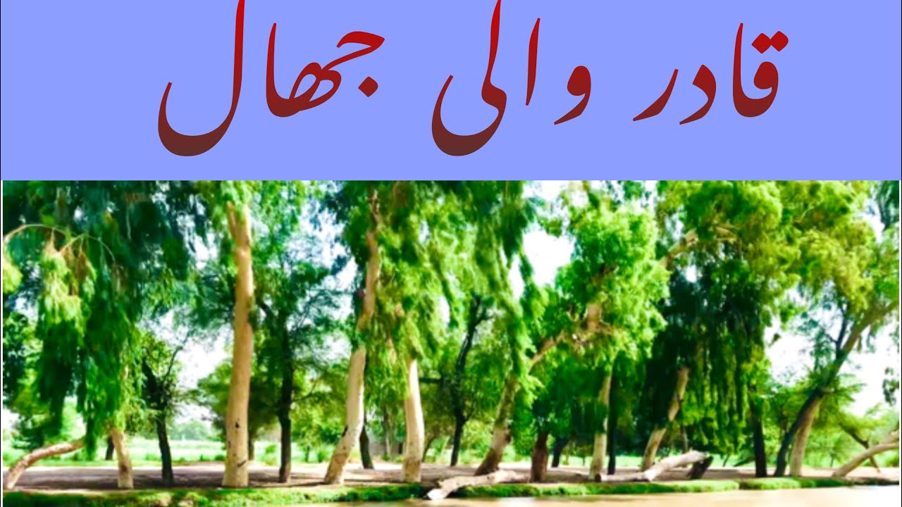 Mandi yazman | Qadiray Wali jhaal | irrigation system of Punjab | publicpk | Punjabi baithak #zubair
