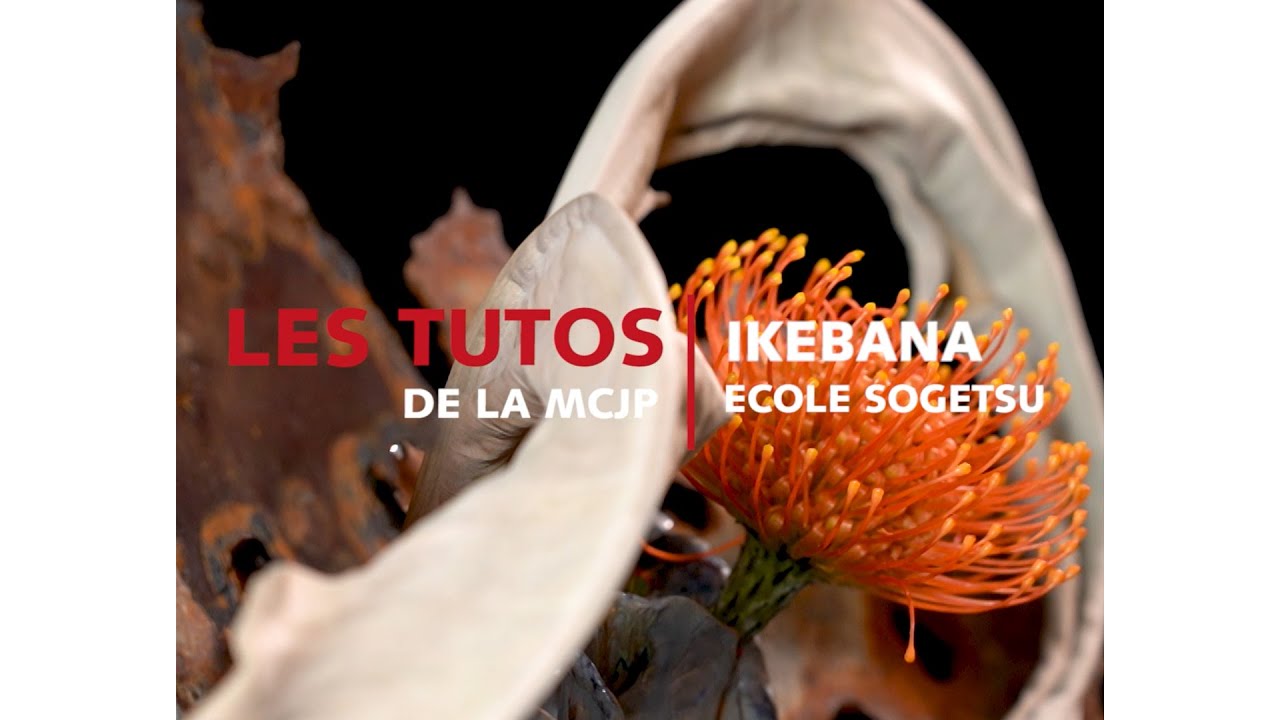 Les tutos de la MCJP : Ikebana - École Sogetsu